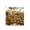 Watermelon water Style Organic fresh water melon industrial grade 20kg pack 25ton 15days watermelon seeds f1 hybrid