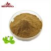 Bulk Ginkgo Biloba Extract Powder Pure Natural 10:1 Ginkgo Biloba Leaf Extract