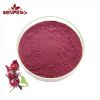 ISO Certification Hibiscus Flower Roselle Extract Natural 10:1 Calyx Rose Extract Powder