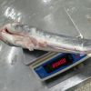 frozen catfish fresh w...