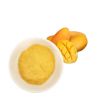 spray dried mango powder 25kg packing in bags dried fruit dry fruit dates mango seed powder