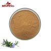 Good Price Rosemary Extract Powder Rosemary Leaf Extract Rosemary Extract