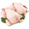 Frozen Halal Whole Chicken and chicken parts