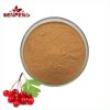 High Quality Hawthorn Berry Extract 5%-20% Hawthorn Flavonoids/Vitexin