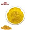 Wholesale Pure Natural Organic Bee Pollen Bulk Pure Bee Pollen Powder