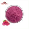 ISO certification Organic PitayaJuice Powder Pure Natural Dragon Fruit Powder