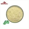 High Quality Kava Extr...