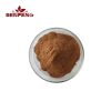 Organic Ginkgo Biloba Extract Powder 24% Flavonoids Ginko Biloba