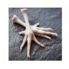 Wholesale Frozen Chicken Feet - Frozen Chicken Paw - Frozen Chicken Leg
