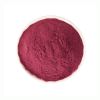 Pure Natural Food Grade Red Beet Root Extract Organic Beet Root Powder