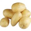 fresh potatoes new crop fresh potatoes new crop fresh sweet yellow bag mesh style packing organic color weight ho