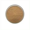 Supply Uncaria Gambir Extract Powder Ramulus Uncariae Extract Gambir Plant Extract