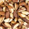 cheap wholesale good typical  brazil nuts wholesale premium organic toasted brazil nuts with shell for snacks