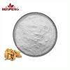 High Quality Knotweed Root Extract Powder Pure natural 98% Resveratrol