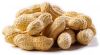 coated roasted peanuts no additives dried 100% natural peanut with best bulk suppliers shell raw peanuts prices