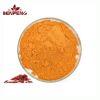 Natural Top Quality Goji Berry Powder Bulk Food Grade Wolfberry Fruit Powder