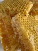 Wholesale Most Popular 100% Pure raw Honey Pure Bee Honey