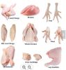 hard Body Chicken Style Packaging Kind Feature Weight processed chicken feet paws  food 10kg cartons 25tons chicken feet paw
