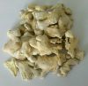 high quality driedsSplit bulk fresh ginger for wholesale dried split ginger packing in bag and boxes fresh ginger