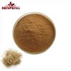 Hot Selling Asarum Root Extract Plant Extract Premium Asarum Extract Powder