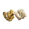 high quality Ginger Supplier new crop fresh air dry or dried ginger root market price  dry dried ginger powder