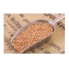 High Quality Natural Organic Buckwheat/Roasted Buckwheat Kernel for sale