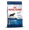 Royal Canin Adult Complete Indoor Cat Food | cat Meal | Pet Food 2 kg