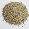 high-quality black cumin seeds lamb and BBQ spices black cumin with low price  packing in bags black cumin seed oil