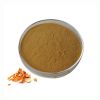 High Quality Orange Peel Extract Health Supplement 10:1 Tangerine Peel Extract Powder