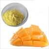 spray dried mango powder 25kg packing in bags dried fruit dry fruit dates mango seed powder