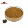 Natural Powder Shilajit Extract 40% Fulvic Acid Shilajit Extract Powder