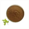 Pure Natural Spearmint Extract Food Grade 10:1 Spearmint Mint Extract Powder