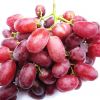 mature 24mm~28mm green globe seedless fresh grapes for sale green globe fresh grapes red globe purple box