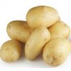 fresh potatoes new crop fresh potatoes new crop fresh sweet yellow bag mesh style packing organic color weight ho