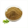 High Quality Green Tea Extract Natural Antioxidant Tea Polyphenols 98%