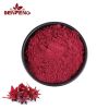 Health Supplements Roselle Extract Powder Premium Roselle Powder