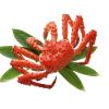 frozen frog legs for sale crab seafood king crab seafood  king crab legs wholesale live for sale