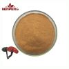 Wholesale Lingzhi Ganoderma Lucidum Extract High Quality 10:1 Reishi Mushroom Extract