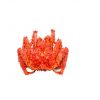 frozen breaded crab claw for food wholesale frozen king crab 500-800pcs/carton fresh supplies crab legs