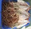 all natural no sugar dried squid seafood dried shredded squid dried market frozen illex squid roe egg block bulk style tim