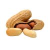 high quality cheap wholesale no additives peanut flavor coated roasted peanuts sale bag food crispy nuts snacks flour coated