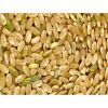 best price pure natural plant extract catuaba extract powder 10:1