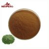 Pure Natural Food Grade Green Tea Leaf Extract High Quality 98% Green Tea Polyphenols