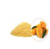 spray dried mango powder 25kg packing in bags dried fruit dry fruit dates mango seed powder