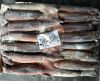 frozen squid tube	 South Africa 12.5kg fat delicious frozen squid tentacles for sale high quality frozen red squid loligo bulk