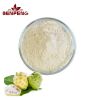 High Quality Factory Price Noni Fruit Juice Powder Bulk Noni Fruit Powder