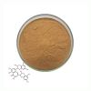 Natural Black Tea Leaf Extract Powder Food Grade Water Soluble 10%-40%  Theaflavins