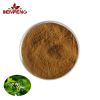 Pure Natural Honeysuckle Extract Powder Herbal Plant Extract Honeysuckle Extract