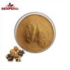 Factory Supply 100% Natural Tea Seed Extract Food Grade 70% 90% Tea Saponins Powder