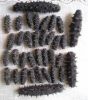 high protein anti-aging fertile holothurian sea cucumber best quality bulk orders  buyer of high quality dried sea cucumber